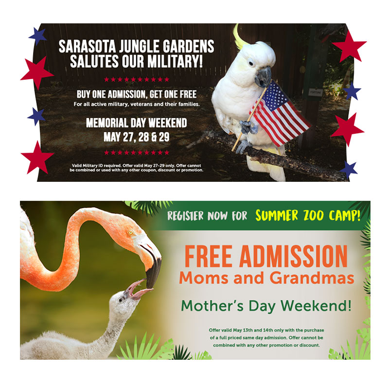 Sarasota Jungle Gardens Commit Marketing A Full Service